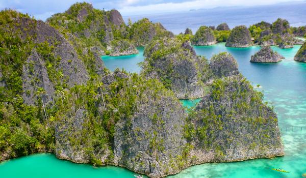 Voyage à travers les îlots karstiques du nord de  Raja Ampat