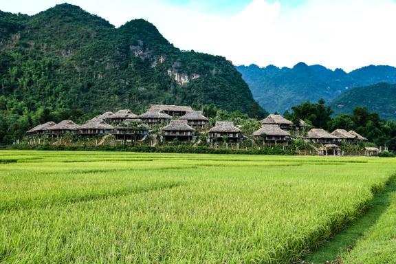 Voyage vers la vallée de Mai Chau, non loin de la frontière laotienne