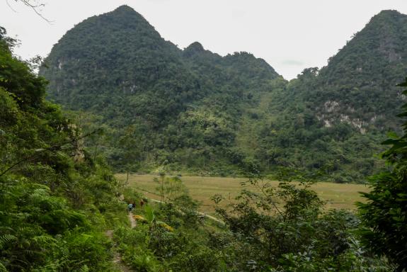 Randonnée vers un village montagnard dans la région de Mai Chau