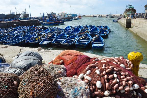 Découverte du port de pèche d'Essaouira