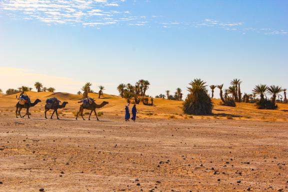 Randonnée avec un chamelier et ses chameaux à Merzouga