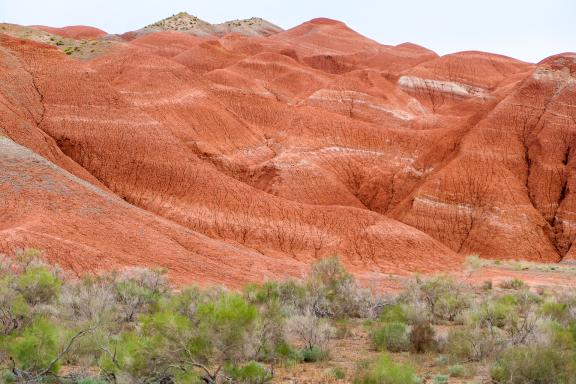 Randonnée vers les montagnes rouge et blanche dans le Parc National d'Altyn Emel au Kazakhstan