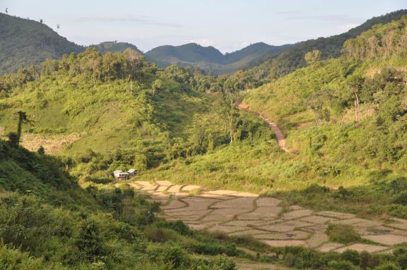 Trekking à travers un paysage montagneux de la région de Luang Namtha