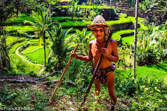 Rencontre avec un balinais dans sa rizière sur l'île de Bali