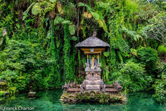 Voyage vers un temple hindouiste sur l'île de Bali