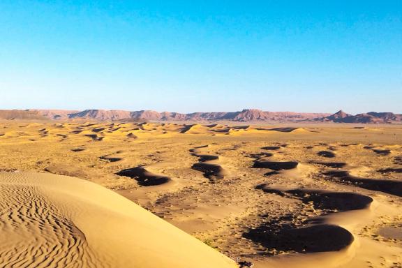 Voyage dans les dunes de la vallée du Draa