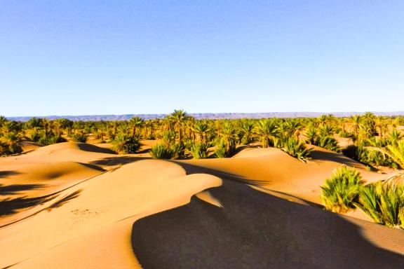 Randonnée dans une palmeraie de la vallée du Draa