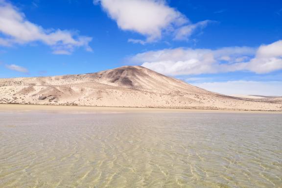 Trek près d'un oued au pied d'une dune à Merzouga