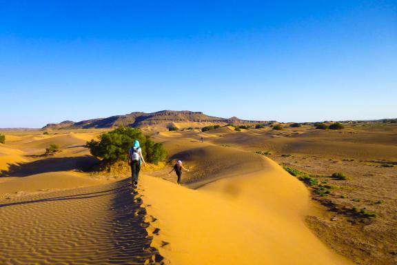 Trek sur des dunes dans la vallée du Draa