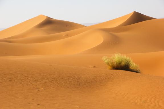 Trekking sur des dunes au oranges à Merzouga