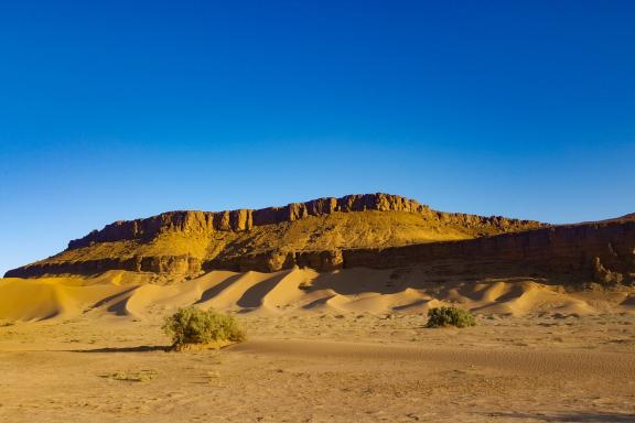 Voyage dans le désert de Merzouga