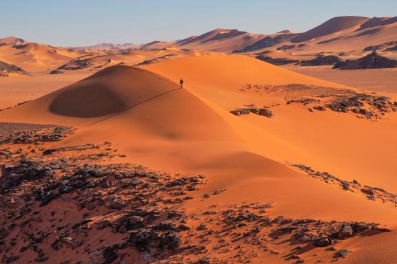 Découverte d'un voyageur sur une dune dans la Tadrart