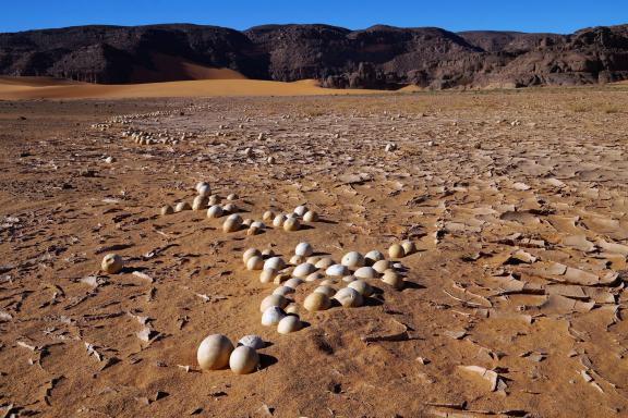 Trek et fossiles dans la région de Djanet en Algérie